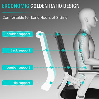 Ergonomic Lumbar Support Mesh Computer, Gaming and Office Desk Chair